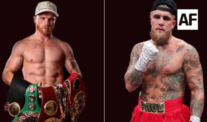 canelo1