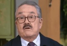 Polémica por comentarios de Pedro Sola revive debate sobre famosos y bienestar animal